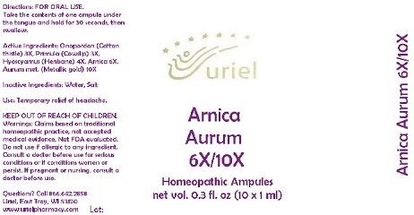 Pill image for Arnica Aurum 6 10