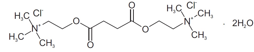 Pill image for These Highlights Do Not Include All The Information Needed To Use Succinylcholine Chloride Injection Safely And Effectively.