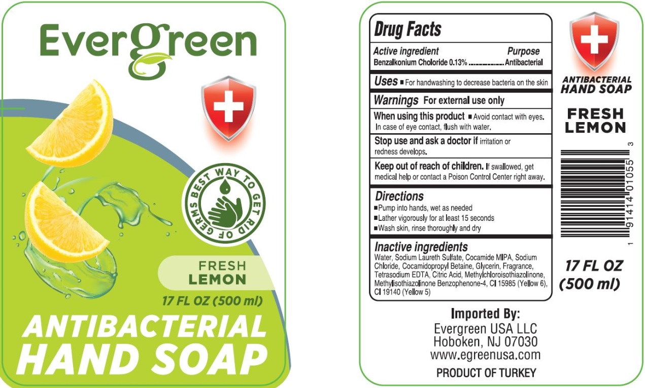 Pill image for Evergreen 