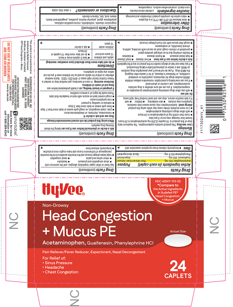 Pill image for 1173-hyv-2025-1103