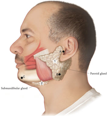 Pill image for These Highlights Do Not Include All The Information Needed To Use Xeomin®