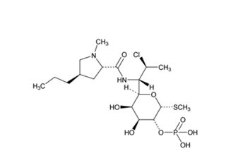 Pill image for Clindamycin Phosphate Gel Usp, 1%