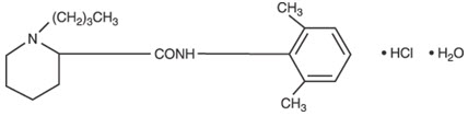 Pill image for These Highlights Do Not Include All The Information Needed To Use Bupivacaine Hydrochloride Injection And Bupivacaine Hydrochloride And Epinephrine Injection Safely And Effectively. See Full Prescribing Information For Bupivacaine Hydrochloride Injection And Bupivacaine Hydrochloride And Epinephrine Injection.