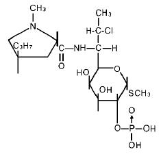 Pill image for Clindamycin Injection Usp In 5% Dextrose