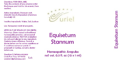 Pill image for Equisetum Stannum