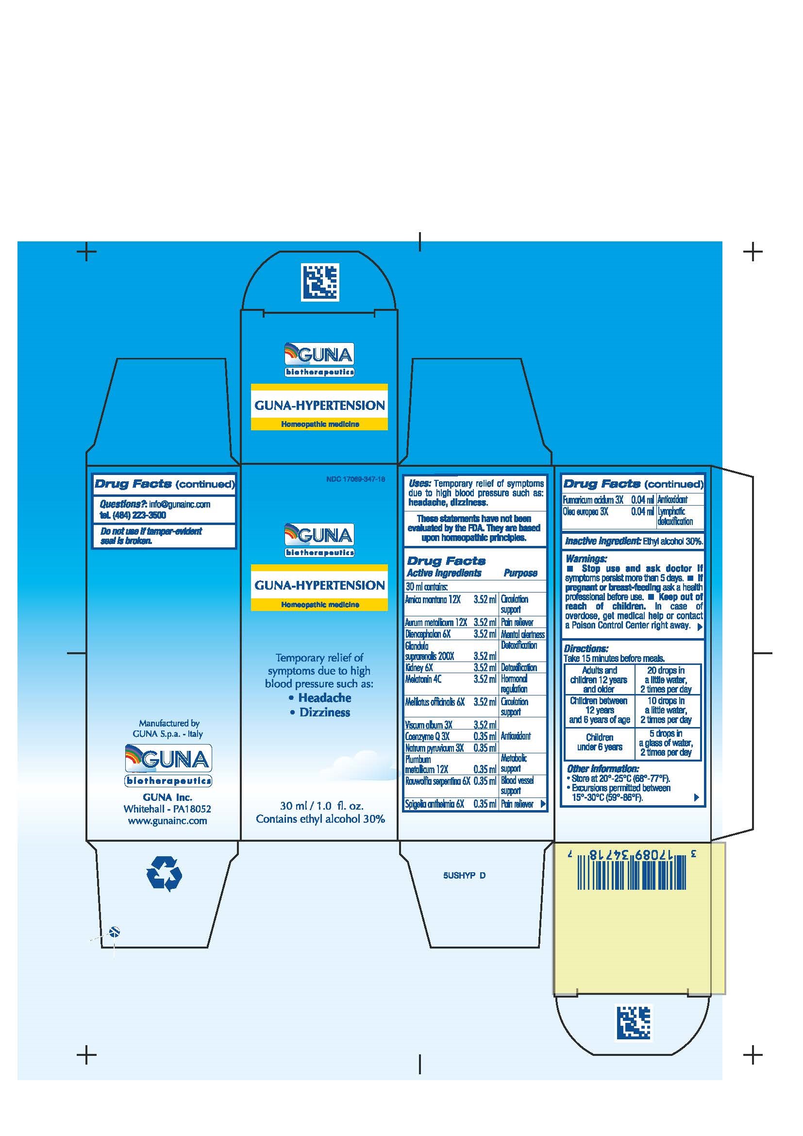 Pill image for Guna-hypertension