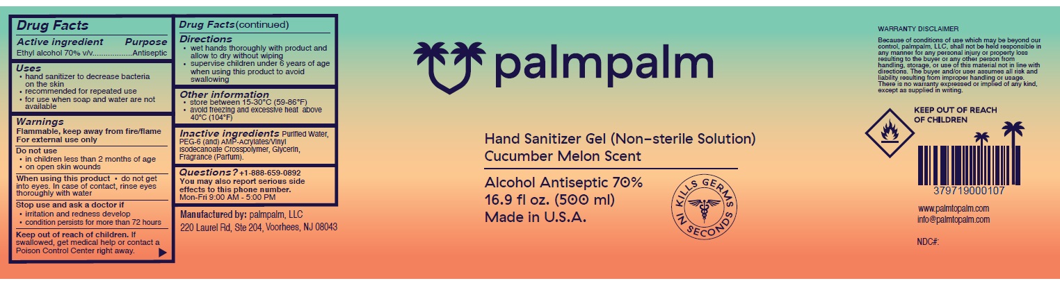 Pill image for Palmpalm hand Sanitizer Gel