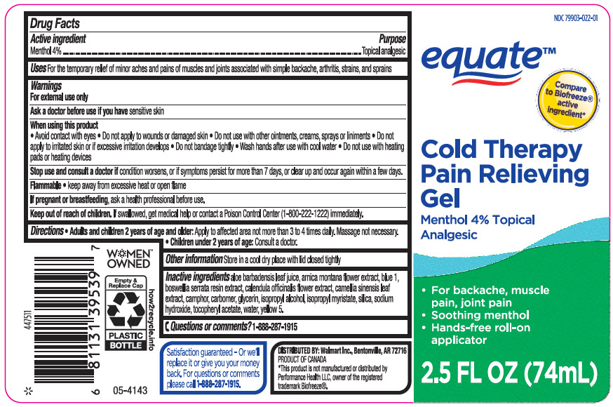 Pill image for Equate™ Cold Therapy Pain Relieving Gel Roll-on