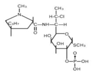 Pill image for Clindamycin