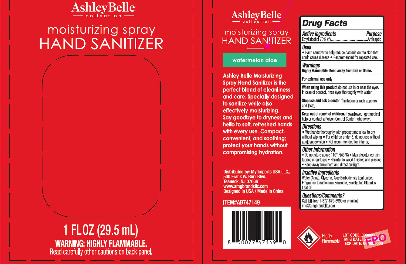 Pill image for Ashleybelle Moisturizing Spray Hand Sanitizer Watermelon Aloe
