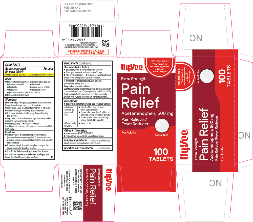 Pill image for 1003-hyv-2025-1120