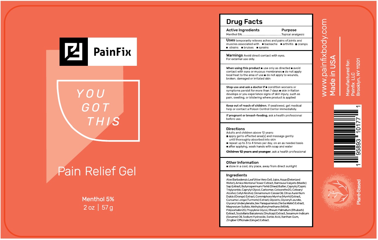 Pill image for Painfix Relief Gel