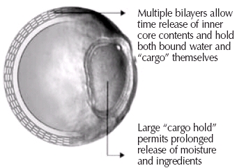 Pill image for Acneworx® Gentle Moisturizing Clear Acne Treatment Gel