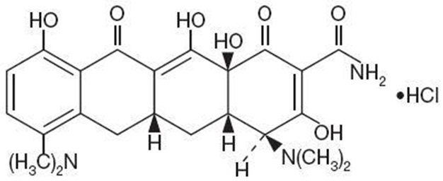 Pill image for Minocycline Hydrochloride Tablets, Usp