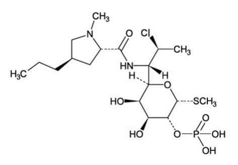 Pill image for Clindamycin Phosphate