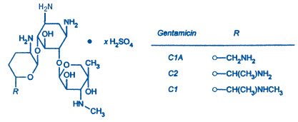Pill image for Gentamicin Sulfate In 0.9% Sodium Chloride Injection