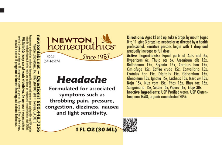 Pill image for Headache 2597l