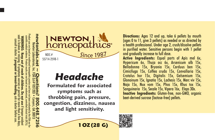 Pill image for Headache 2598p