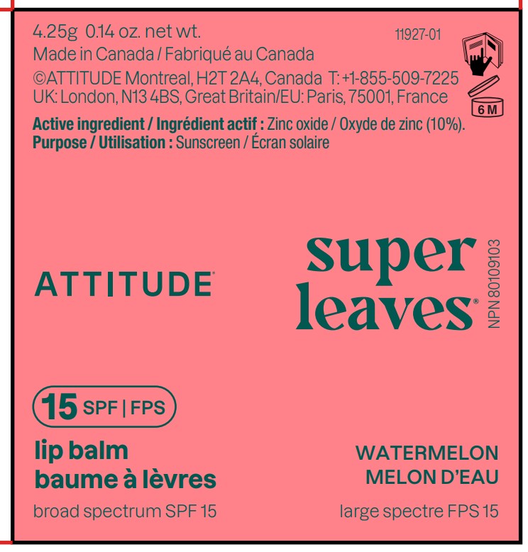 Pill image for Attitude Super Leaves Lip Balm Spf 15 Watermelon