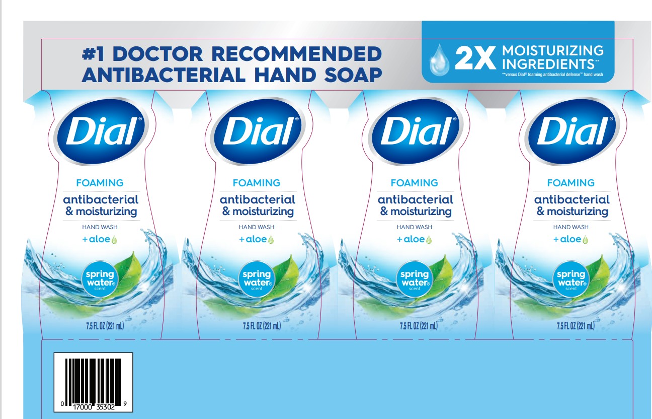 Pill image for Dial Foaming Antibacterial & Moisturizing Hand Wash Spring Water