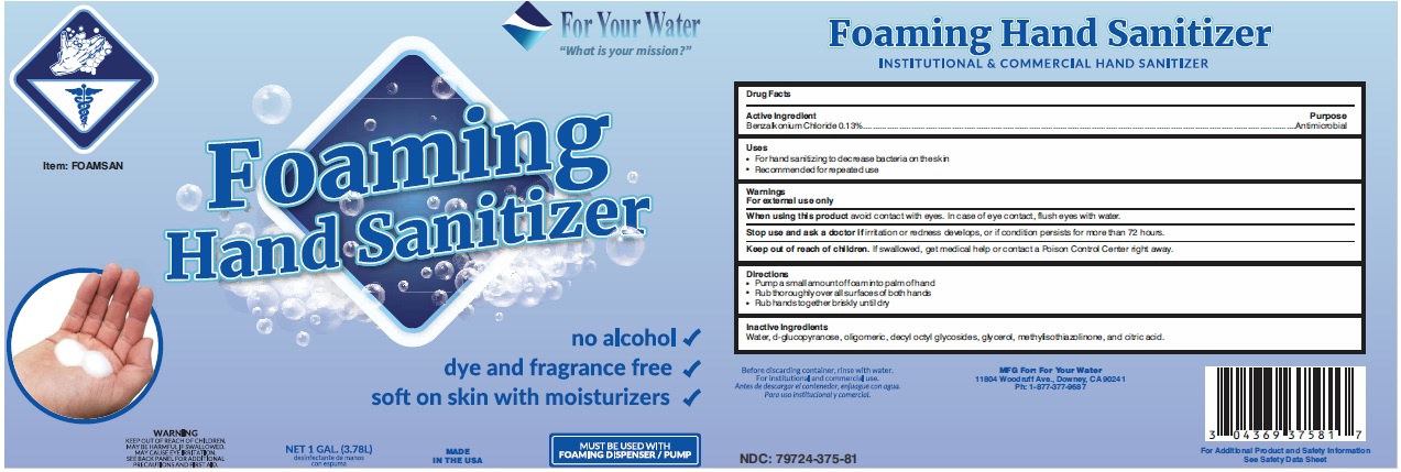Pill image for For Your Water Foaming Hand Sanitizer