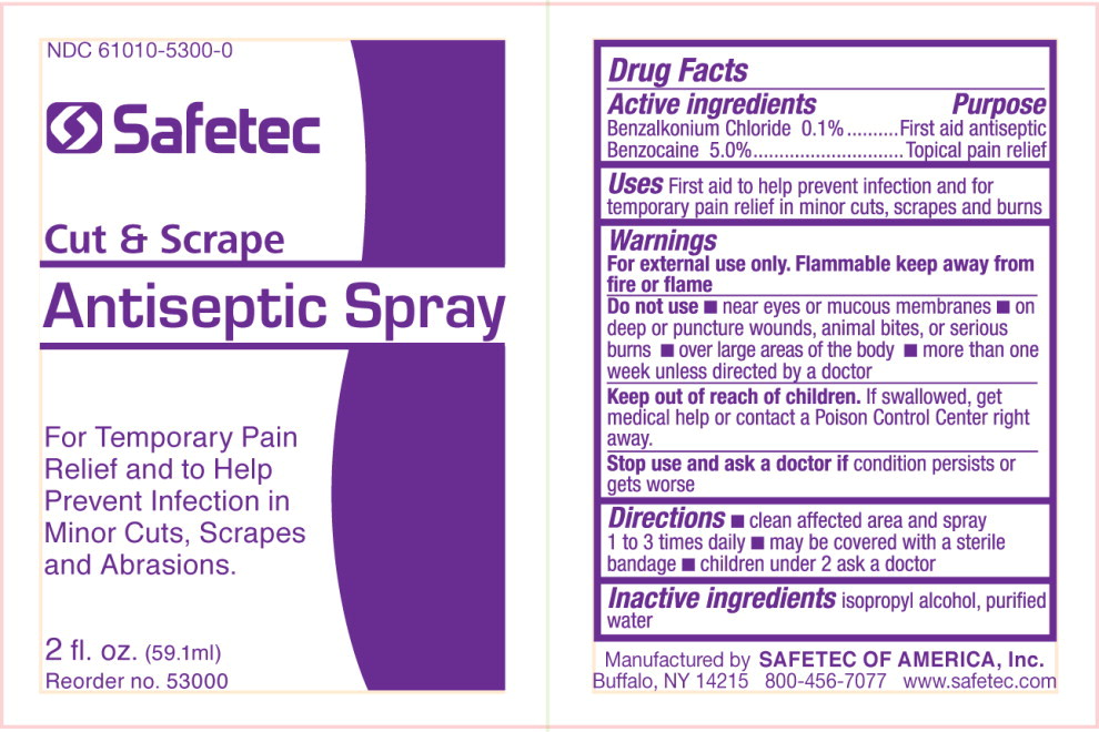 Pill image for 61010-5300, Cut And Scrape Antiseptic