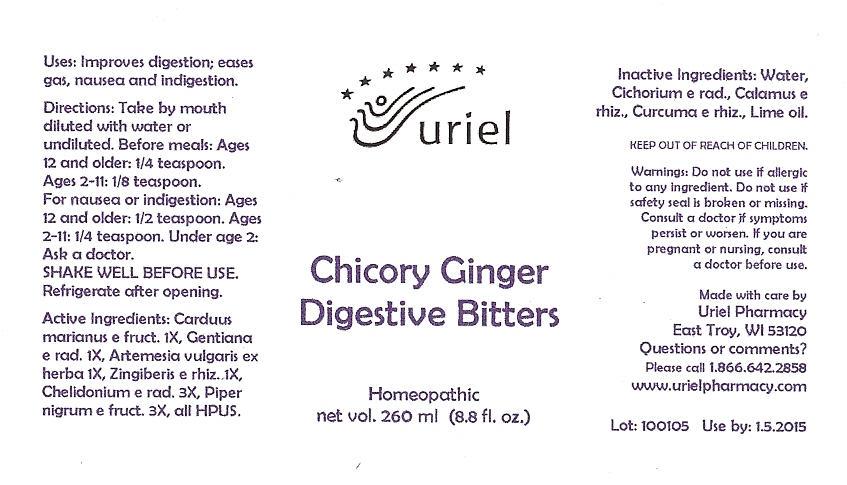 Pill image for Chicory Ginger Digestive Bitters - 8.8 Oz.