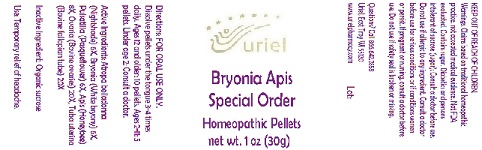 Pill image for Bryonia Apis Special Order