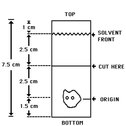 Pill image for These Highlights Do Not Include All The Information Needed To Use Cardiolite®