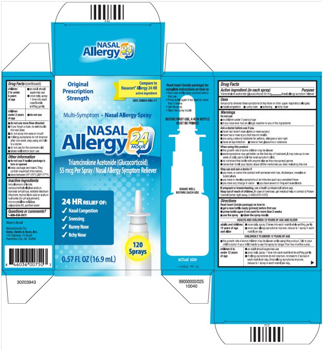 Pill image for Nasal Allergy 24 Hour Drug Facts