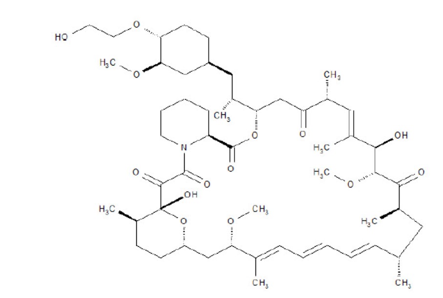 Pill image for These Highlights Do Not Include All The Information Needed To Use Torpenz Tablets Safely And Effectively. See Full Prescribing Information For Torpenz Tablets.