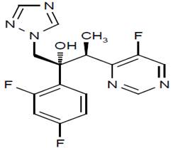 Pill image for these highlights do not include all the information needed to use voriconazole tablets safely and effectively. see full prescribing information for voriconazole tablets.