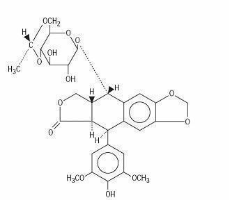 Pill image for Etoposide Injection Usp