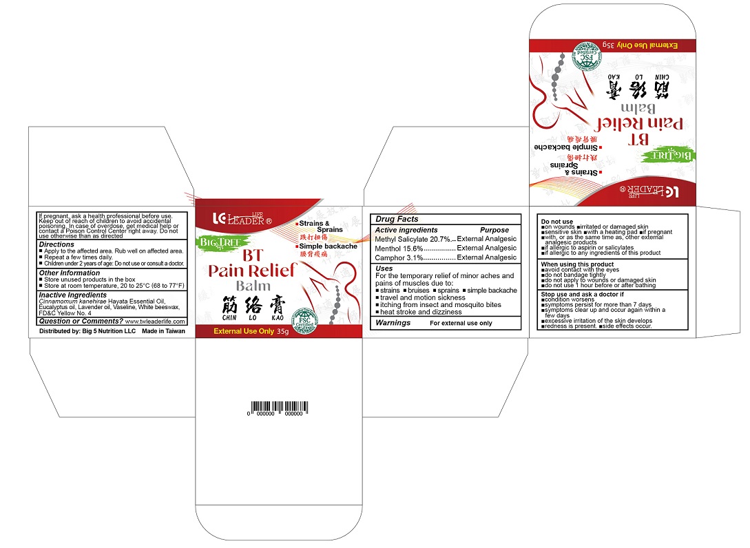 Pill image for Bt Pain Relief Balm