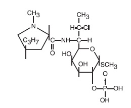 Pill image for Clindamycin Phosphate Gel Usp, 1%