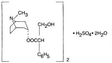 Pill image for Hyoscyamine Sulfate Elixir, Usp