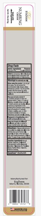 Pill image for Etaderm Numbing Cream