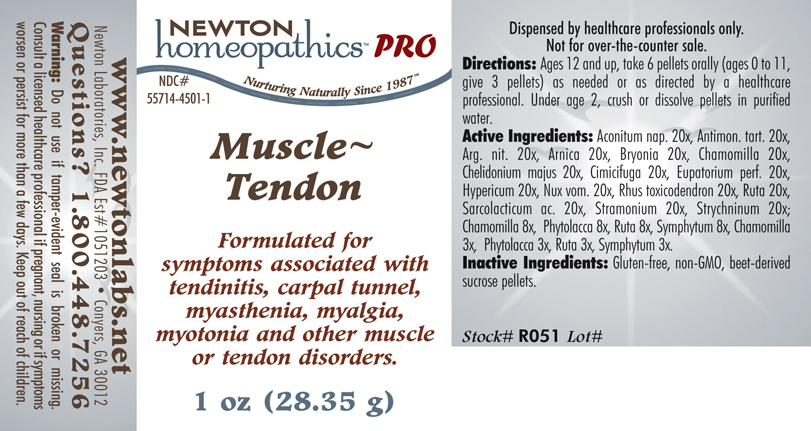 Pill image for Muscle - tendon
