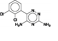 Pill image for These Highlights Do Not Include All The Information Needed To Use Lamotrigine Orally Disintegrating Tablets Safely And Effectively. See Full Prescribing Information For Lamotrigine Orally Disintegrating Tablets.