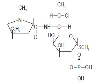 Pill image for Clindamycin Phosphate Topical Solution Usp, 1%