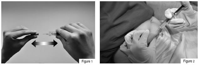 Pill image for These Highlights Do Not Include All The Information Needed To Use Fondaparinux Sodium Injection safely And Effectively. See Full Prescribing Information For Fondaparinux Sodium Injection.