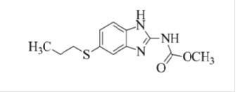 Pill image for These Highlights Do Not Include All The Information Needed To Use Albendazole Tablets Safely And Effectively. See Full Prescribing Information For Albendazole Tablets.