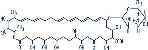 Pill image for Nystatin Cream Usp