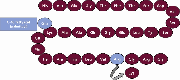 Pill image for These Highlights Do Not Include All The Information Needed To Use Victoza®