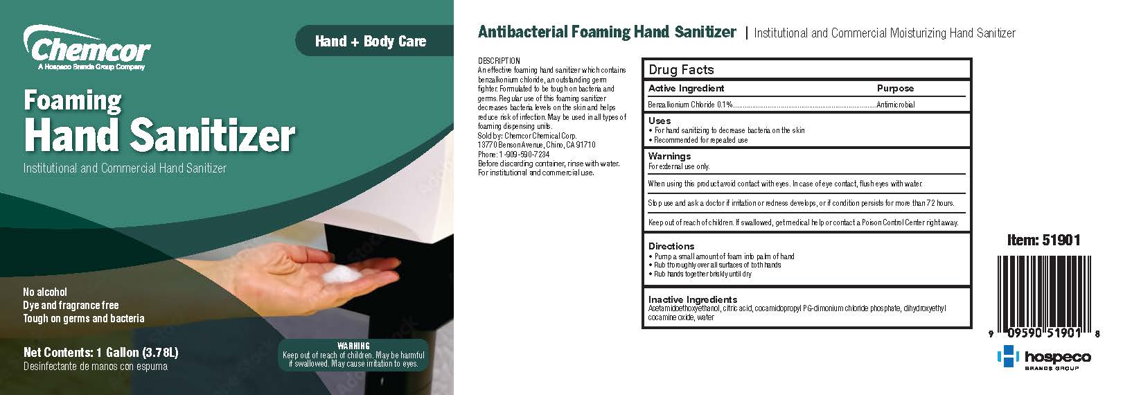 Pill image for Foaming Hand Sanitizer