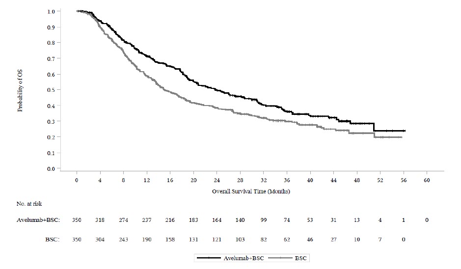 Pill image for These Highlights Do Not Include All The Information Needed To Use Bavencio Safely And Effectively. See Full Prescribing Information For Bavencio.