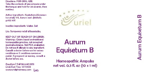 Pill image for Aurum Equisteum B