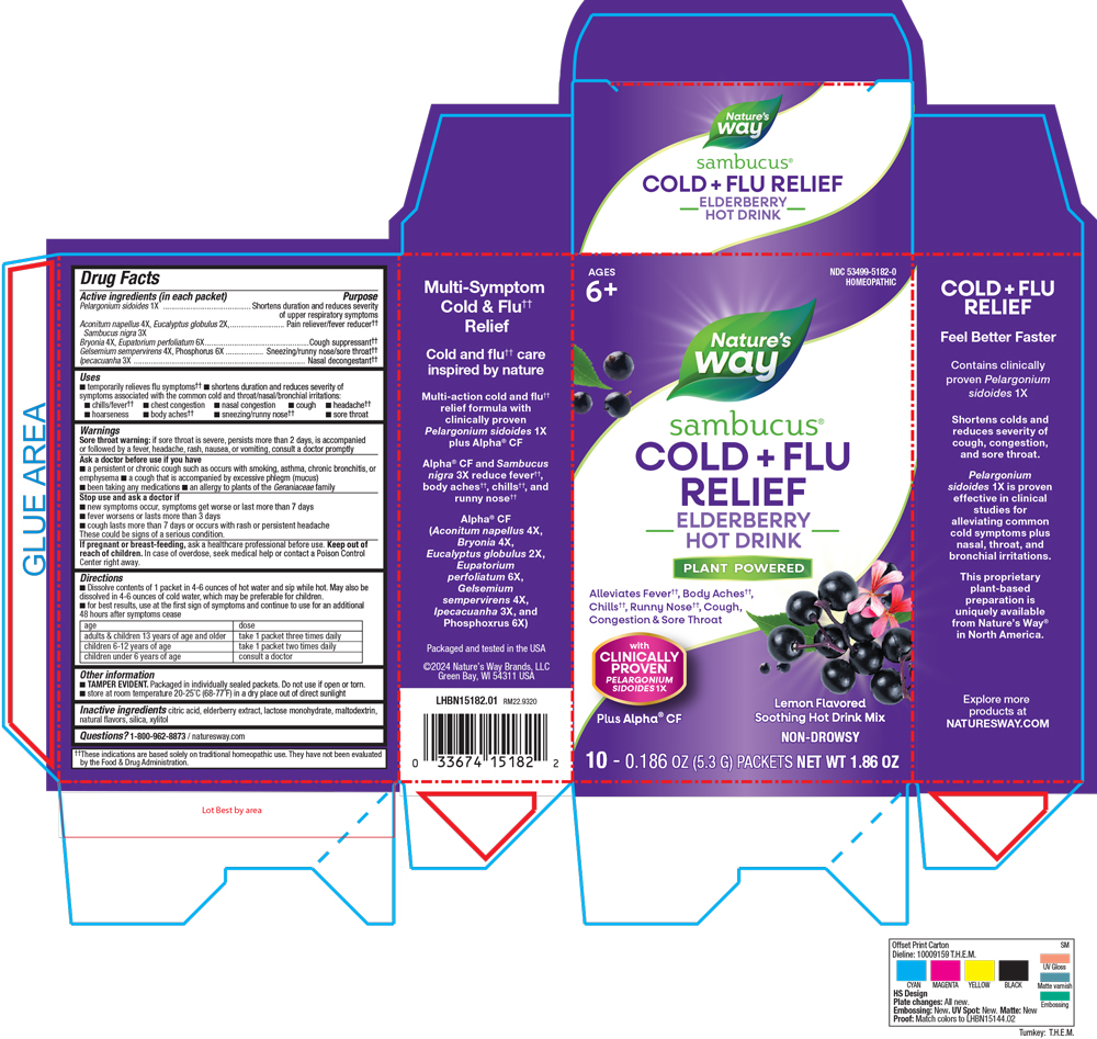 Pill image for Sambucus Cold Flu Relief Elderberry Hot Drink