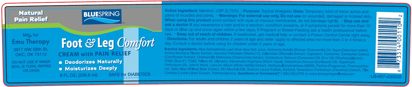 Pill image for Blue Spring Foot & Leg Comfort