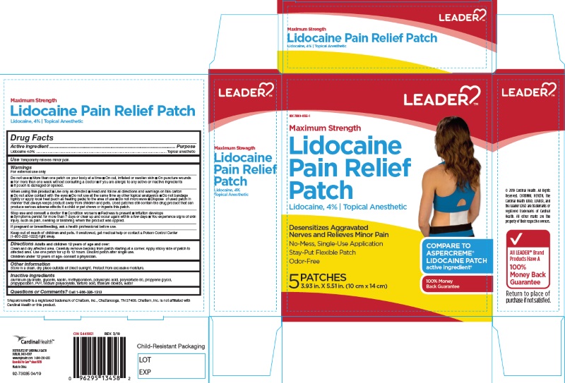 Pill image for Leader Pain Relief Patches